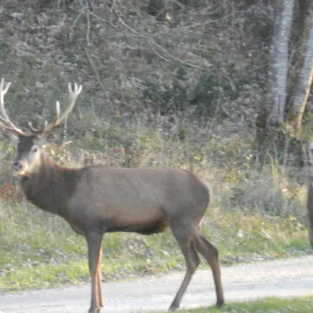 Σπίτι διακοπών Au Paradis *