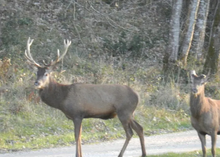 Semesterbostad Au Paradis *